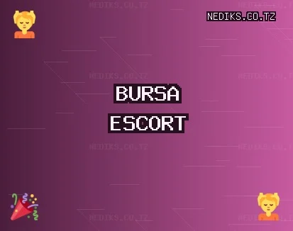 Bursa Escort: Nilüfer Escort, Osmangazi Escort, Yıldırım Escort